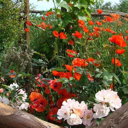 Holiday home Casa Natura San Gimignano