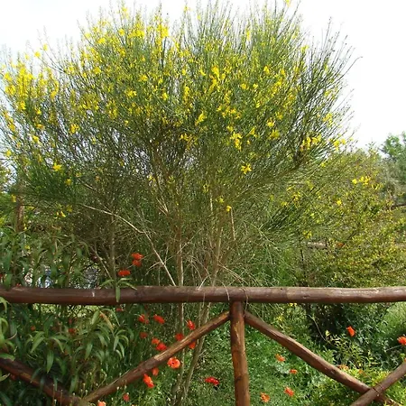 Casa Natura