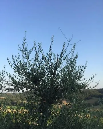 Casa Natura Hébergement de vacances